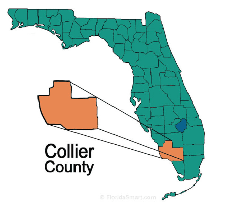 Collier image