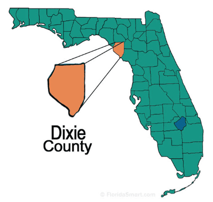 Dixie image