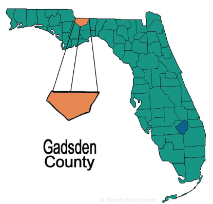 Gadsden image