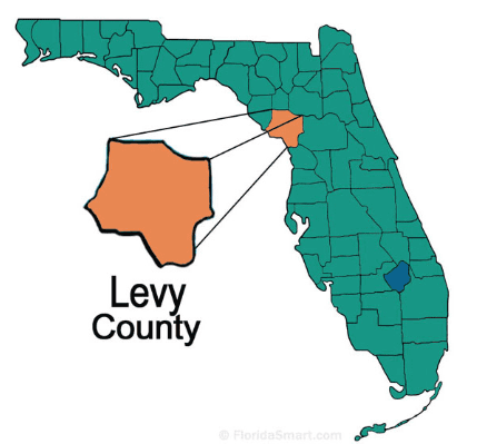 Levy image