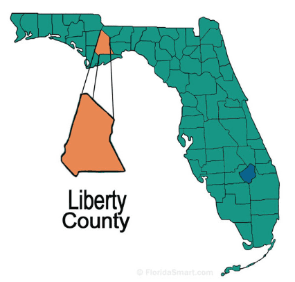 Liberty image