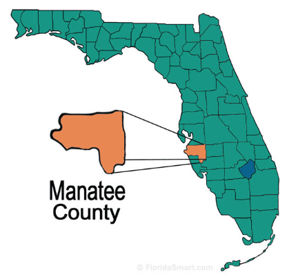 Manatee image