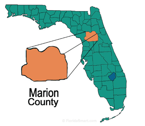 Marion image