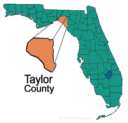 Taylor image