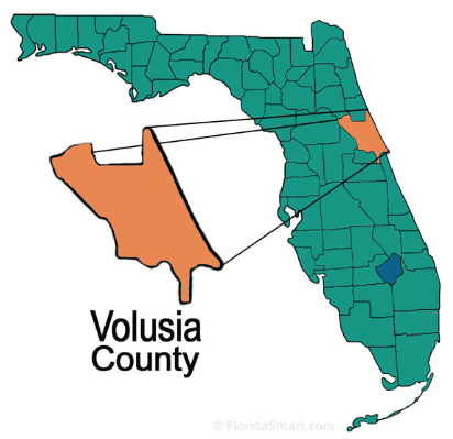 Volusia image